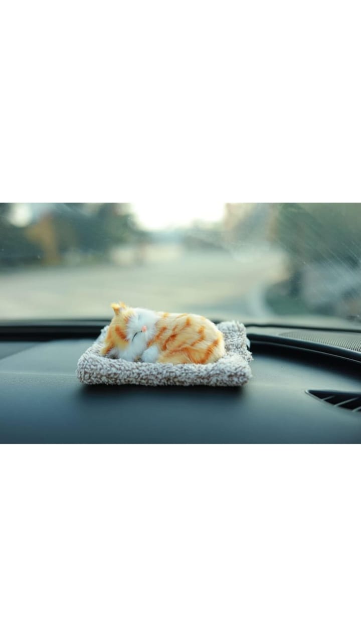 WhatsApp Image 2025-05-02 at 9.45.43 AM