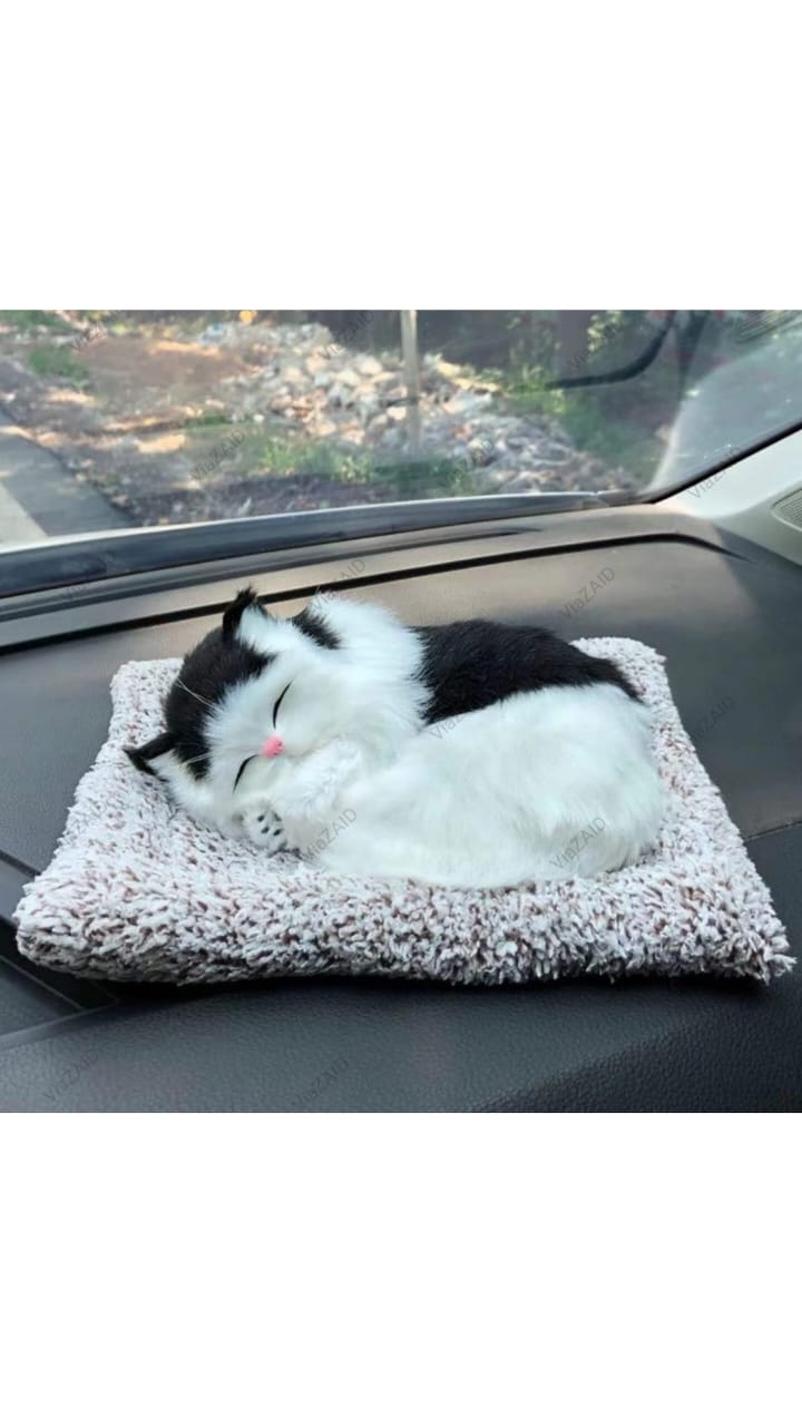 WhatsApp Image 2025-05-02 at 9.45.44 AM