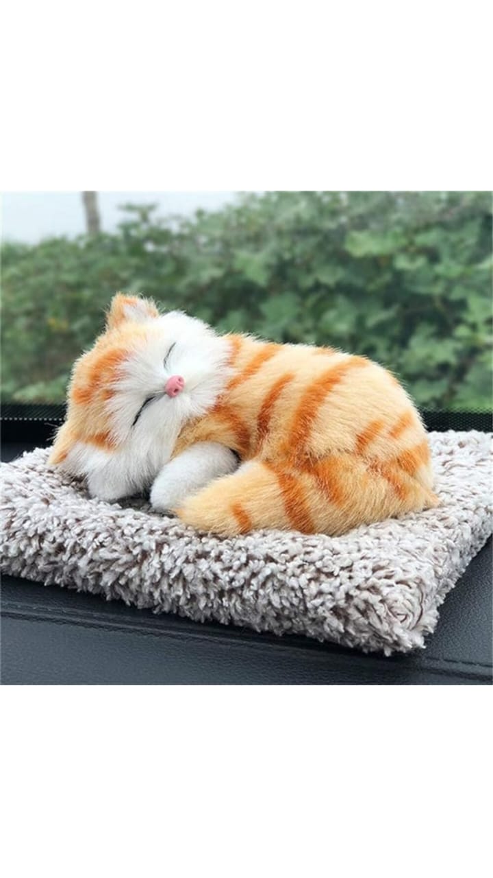 WhatsApp Image 2025-05-02 at 9.45.45 AM